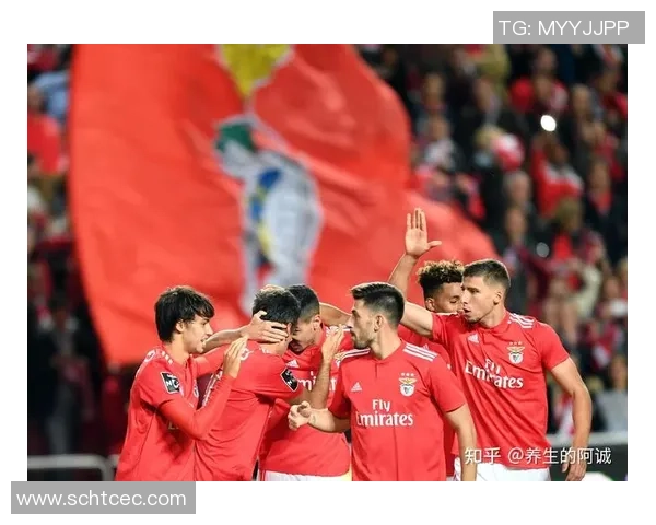 法马里卡奥主场迎战本菲卡期待精彩对决与胜利的较量